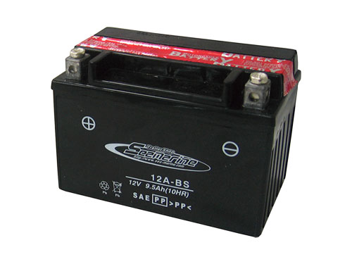 �I�[�g�o�C�p�o�b�e���[(ZTX12A-BS)