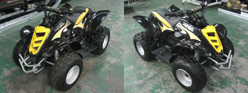 ���Ão�M�[ VIPER 50_2