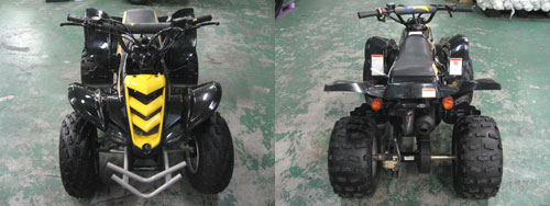 ���Ão�M�[ VIPER 50_4