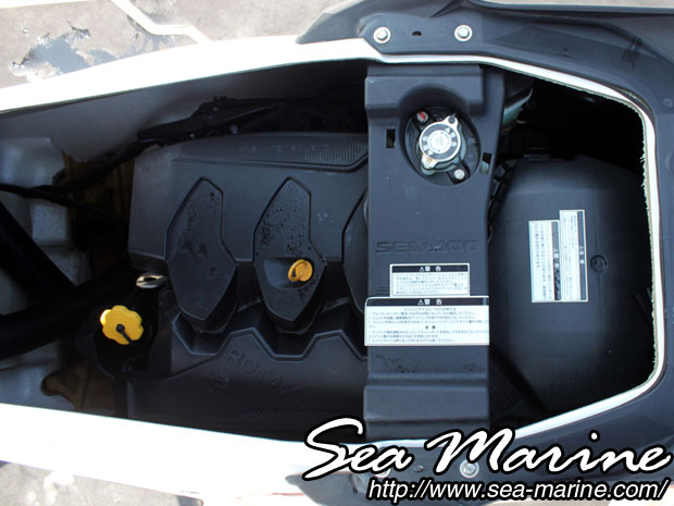 ���ÃW�F�b�g�X�L�[ SEA-DOO WAKE PRO 215_5