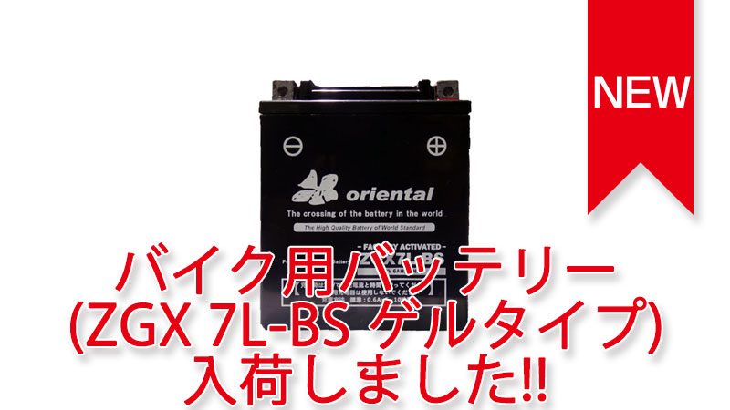 入荷しました。 入荷しました。